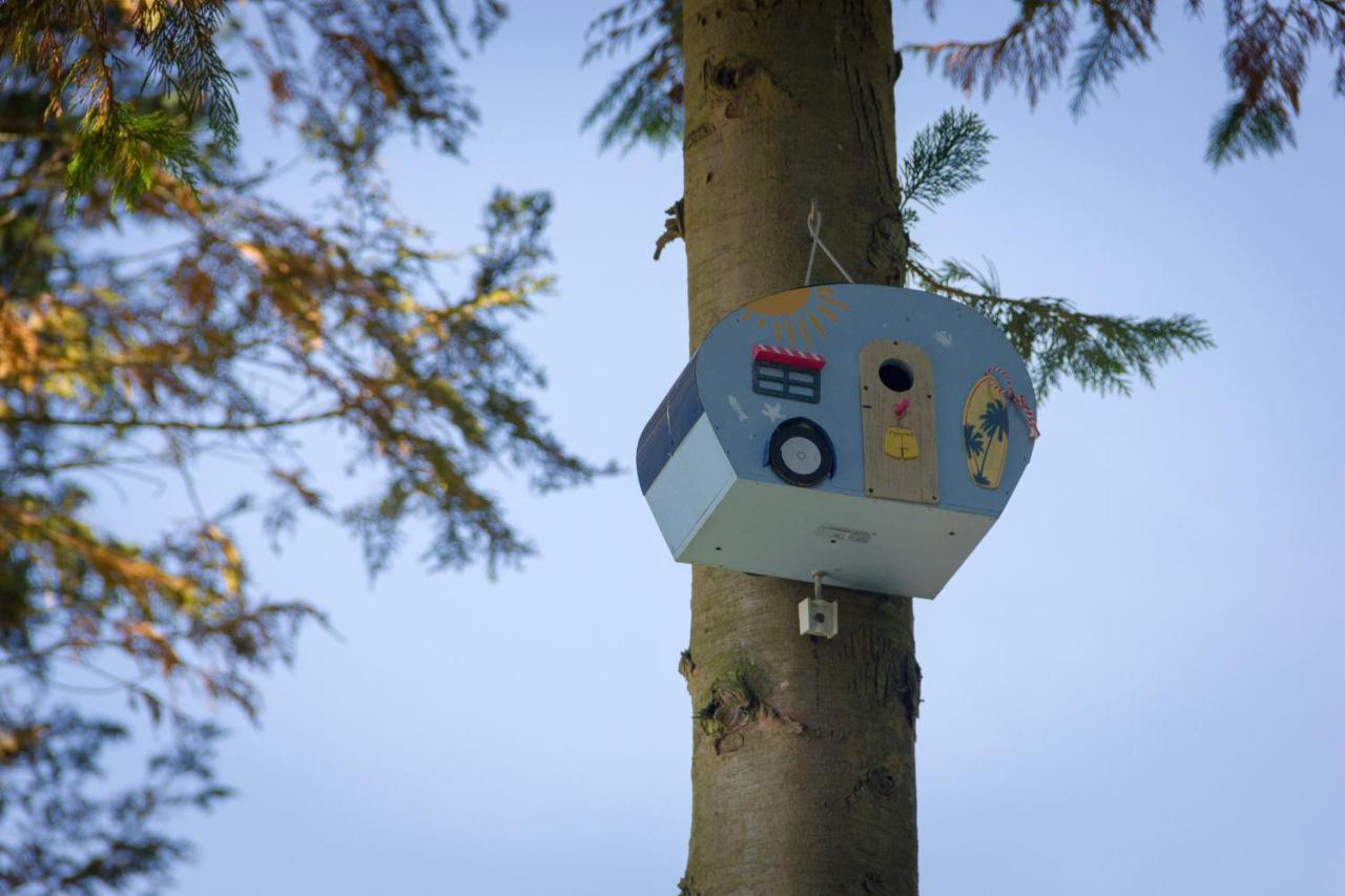 Camping Het Vossenhol Ermelo Eksteriør billede